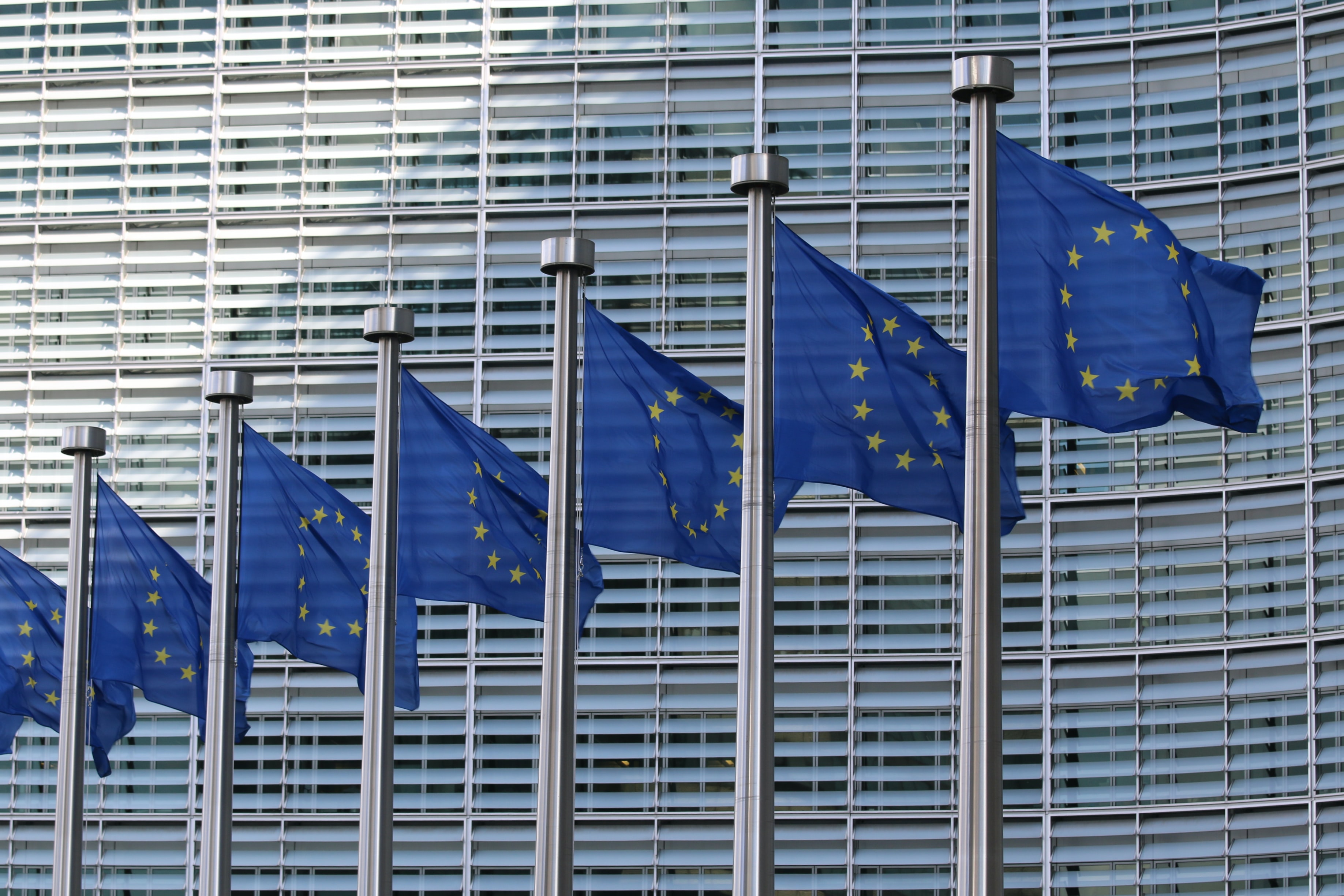 EU flags flying